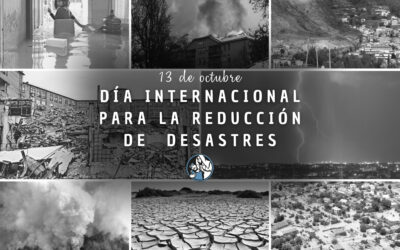 Día internacional para la reducción de desastres. 